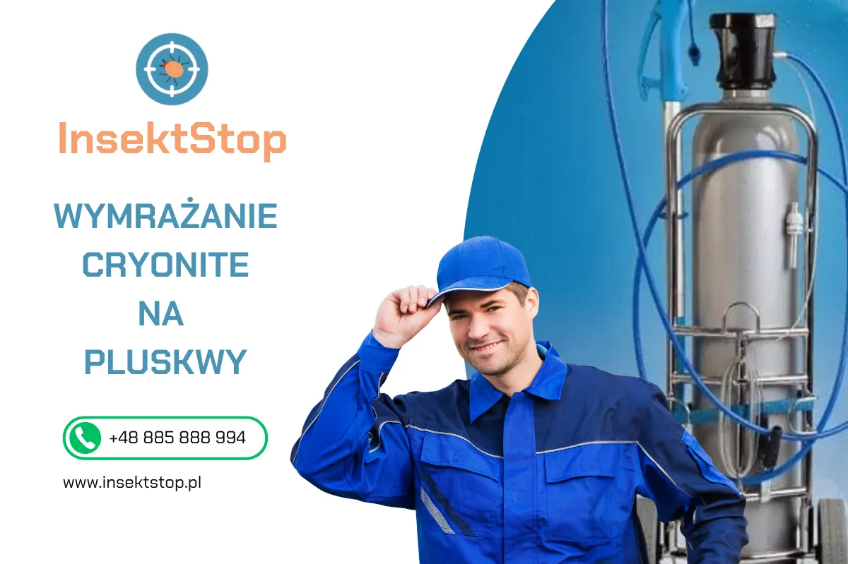 wymrażanie cryonite