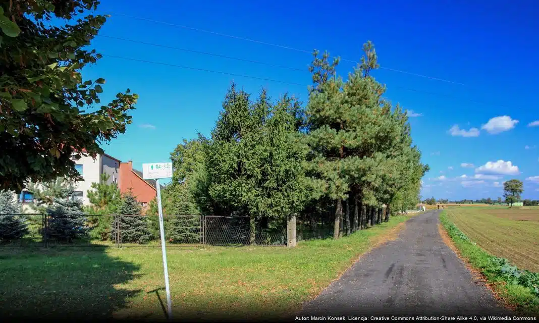 Co zrobić z opakowaniami po środkach ochrony roślin?