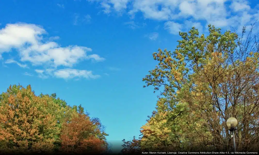 Podsumowanie działań w związku z naruszeniem przestrzeni powietrznej w regionie